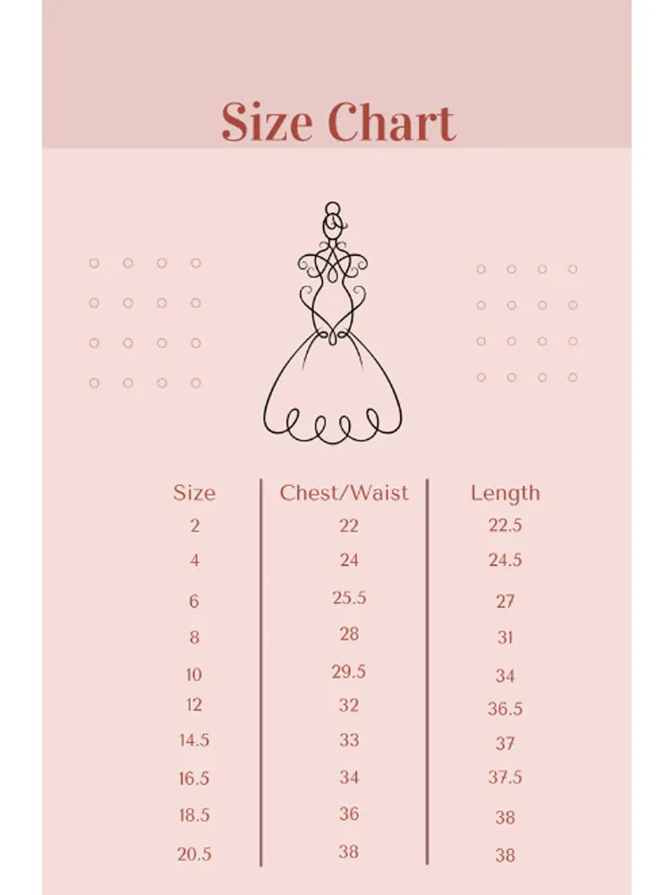 Big Girls Multi Color Butterfly Burnout Organza Plus Size Dress 14.5-20.5